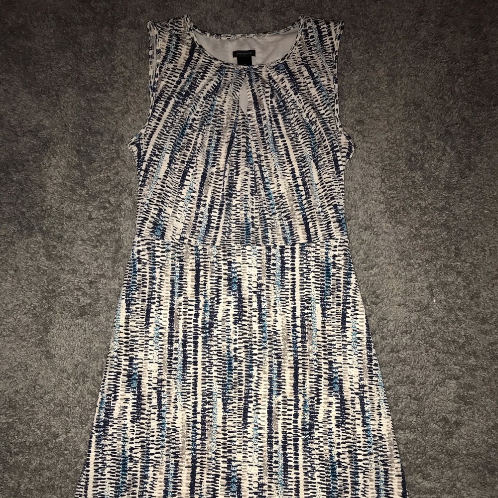 Ann Taylor women’s print dress (M)